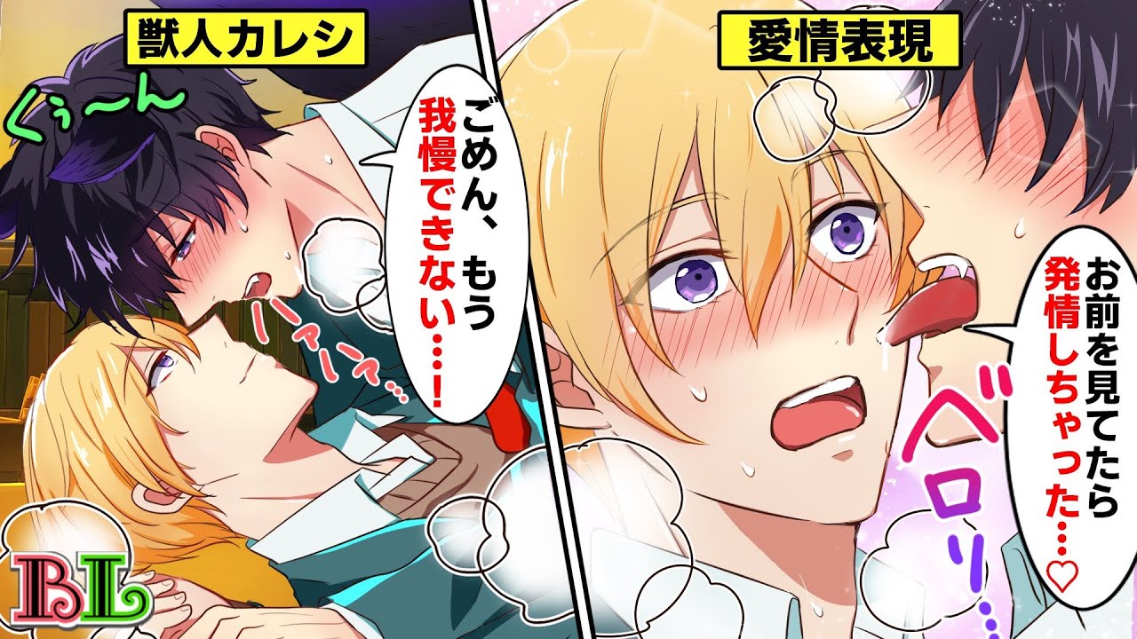 【BLアニメ】「獣人って...ここが気持ちイイの？」獣人男子と人間男子が恋人になるとどうなるのか？(BLボイス漫画)