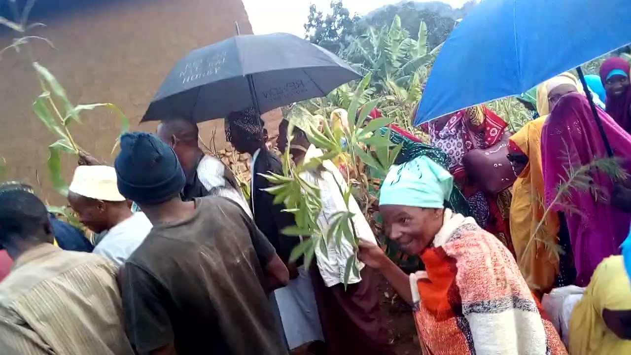 Gharusi ya kaka