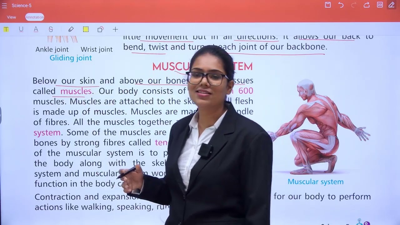 CHAPTER 3 SKELETAL AND MUSCULAR SYSTEM | SCIENCE 5