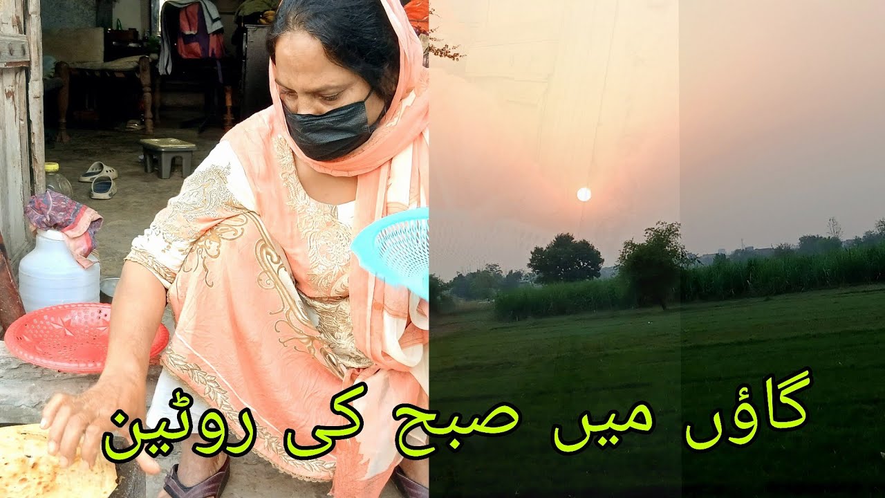 Morning Routine in My Village | Peaceful Village Life 🌄 | Village Roze