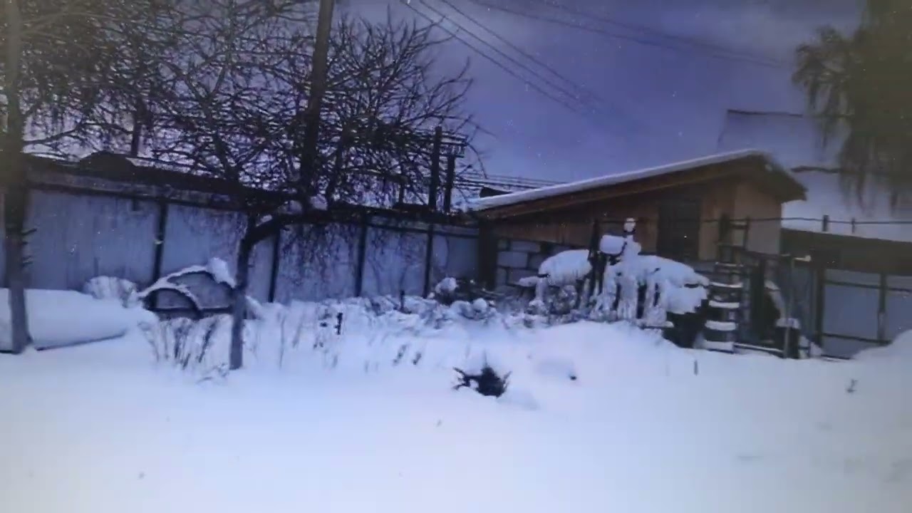Поездка в Борисов.