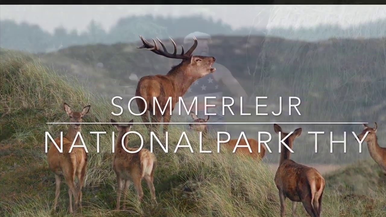 Nationalpark Thy Sommerlejr