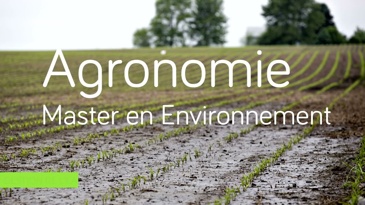 Master en sciences de l'ing&eacute;nieur industriel en agronomie or. environnement opt. environnement