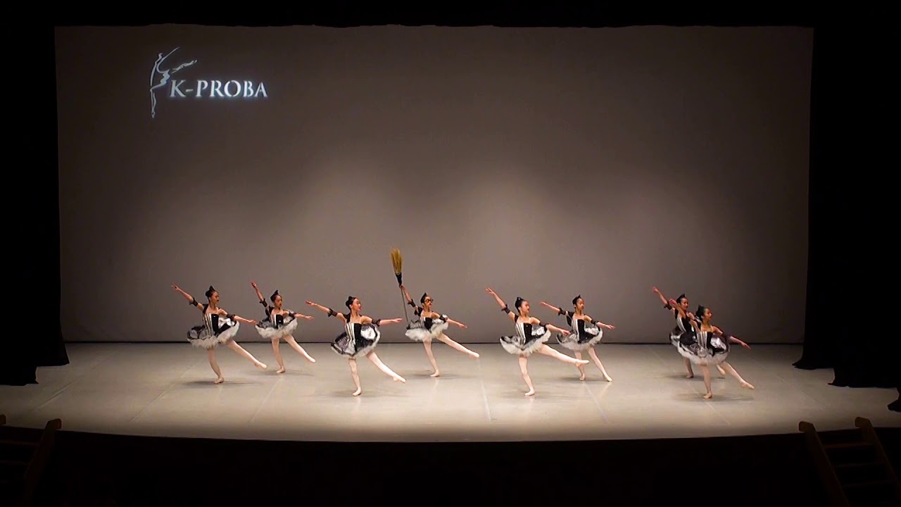 2019 K-PROBA 초등부 단체 금상
