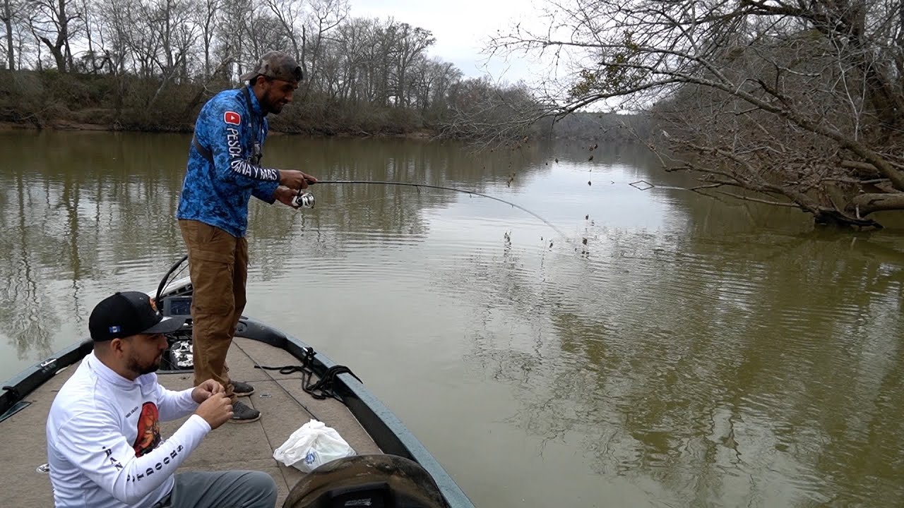 Increíble Cuantos Peces En Este Lugar , Pesca Y Cocina