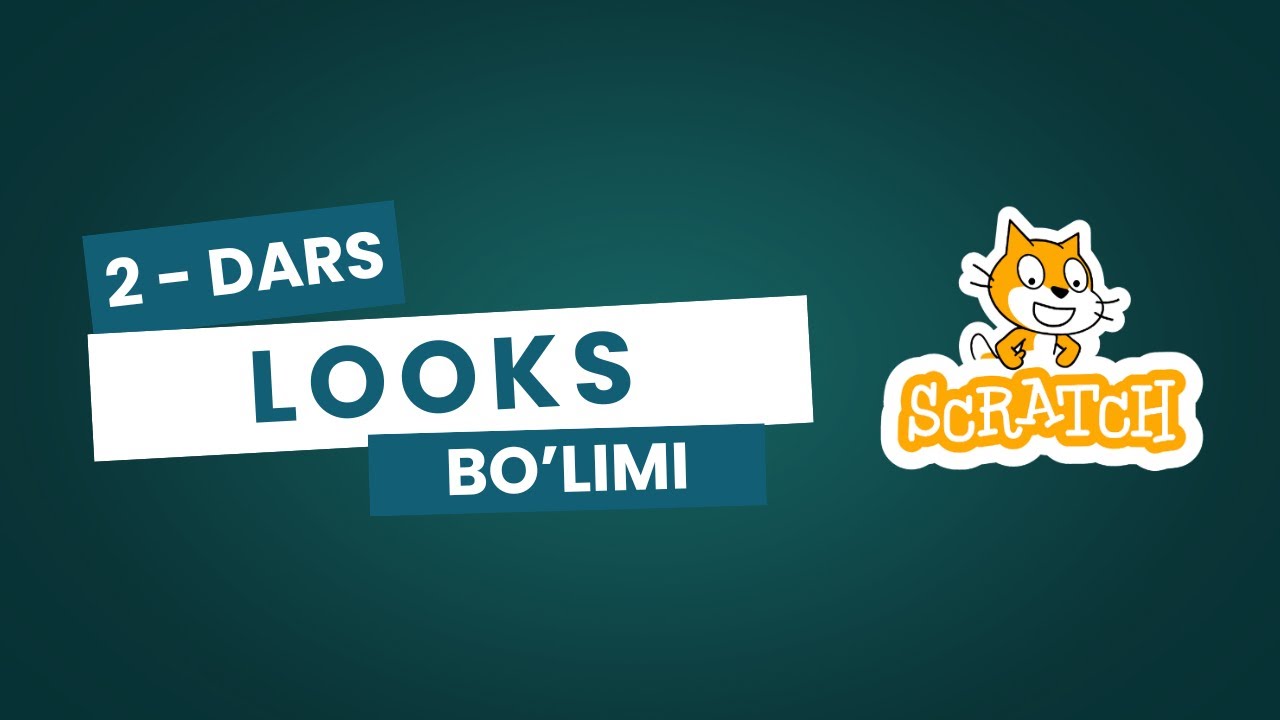 Skratch boshlang'ich darslar, 2-dars, Looks bo'limi