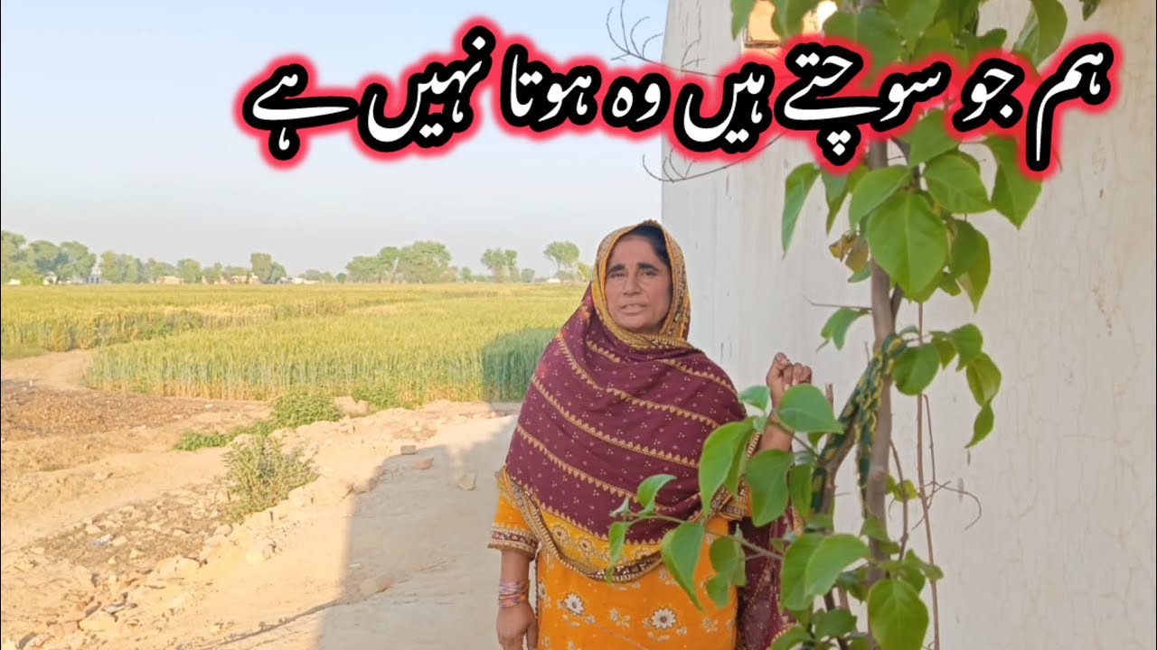 Ham Jo Sochte Hain Wah Hota Nahin Hai