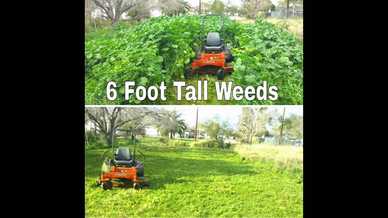 The Lawn Ranger And Pronto Services presents a slideshow of our work!