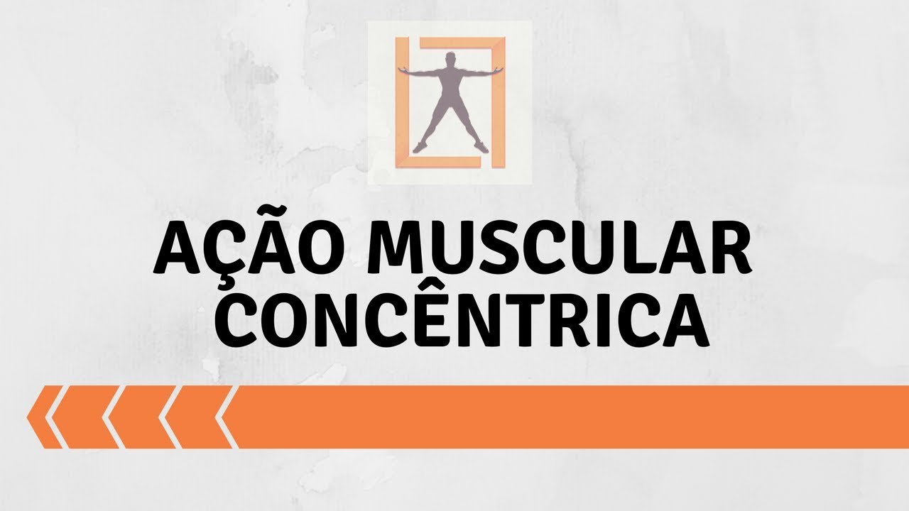 Ação muscular concêntrica #3