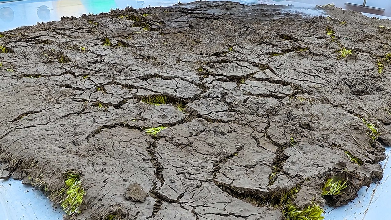 Buried Alive in Mud! | Can Save This Trashed Masterpiece?