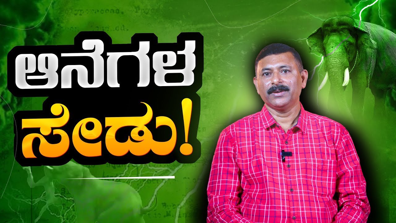 EP-369 |‌ ಆ ವಾಸನೆ ಒಮ್ಮೆ ಗ್ರಹಿಸಿದ್ರೆ ಆನೆಗಳು ಹುಡುಕಿ ಬರುತ್ವೆ! | Wildlife | GSS MAADHYAMA