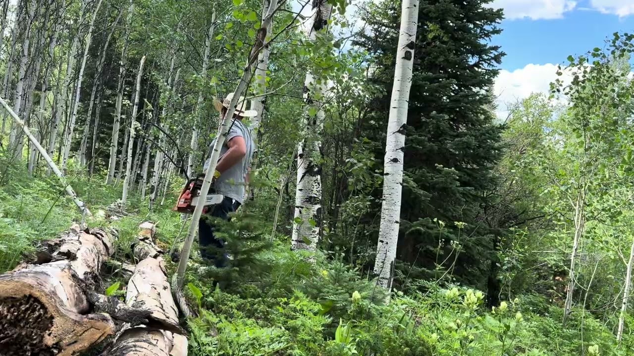 Mike Kelley Chainsawing at Cattle Lack Ranch