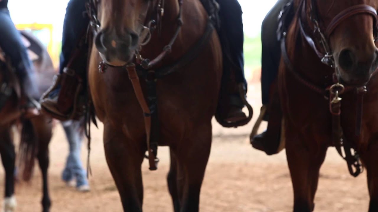 Barrel Racing