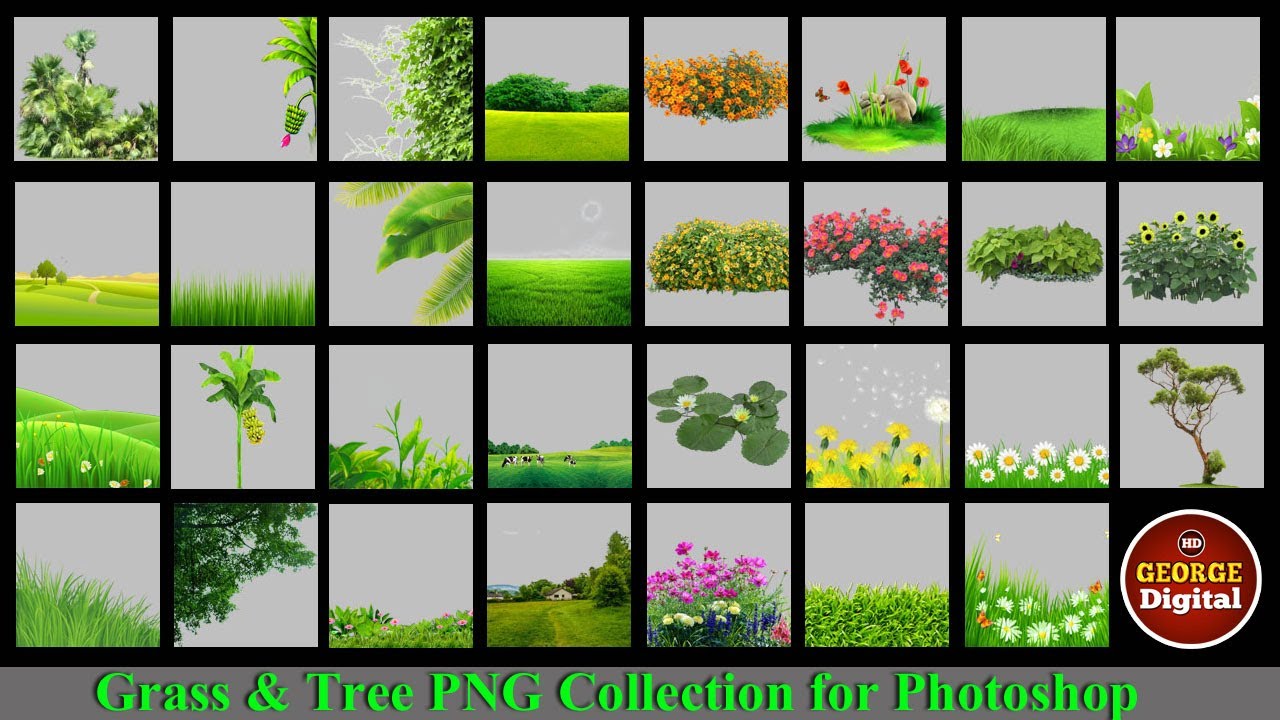 Grass and Tree PNG file collection for Photoshop(
