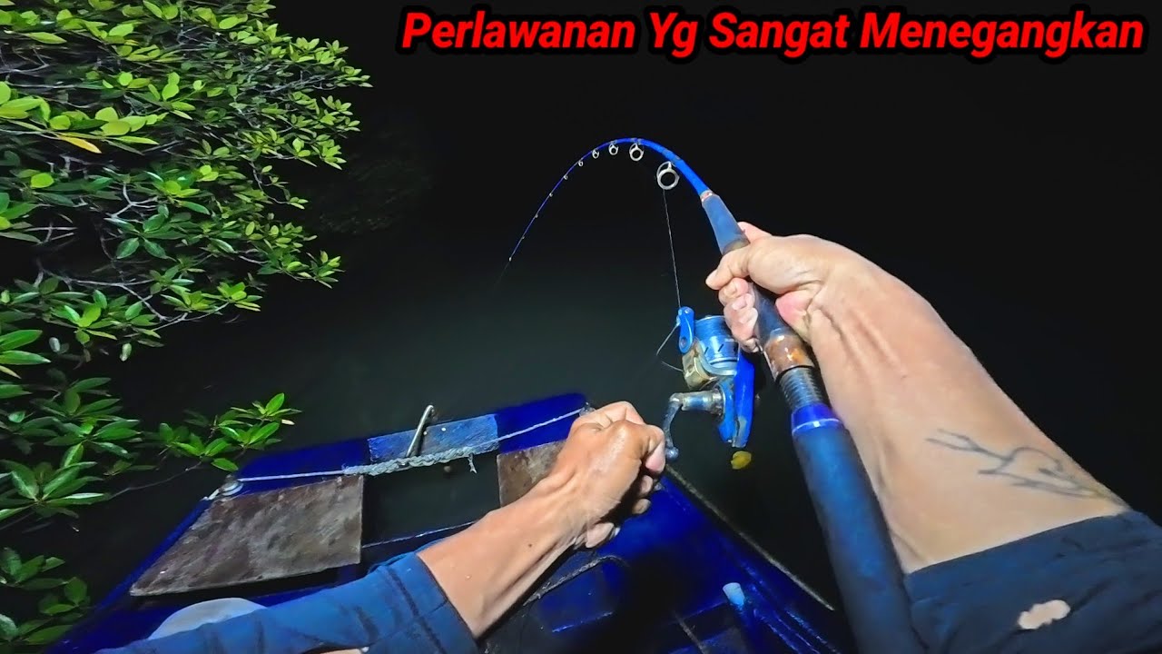 Luar Biasa ikan Besar Yg Selalu Di idamkan Para Pemancing Berhasil Saya Dapatkan, ikan Besar Melawan