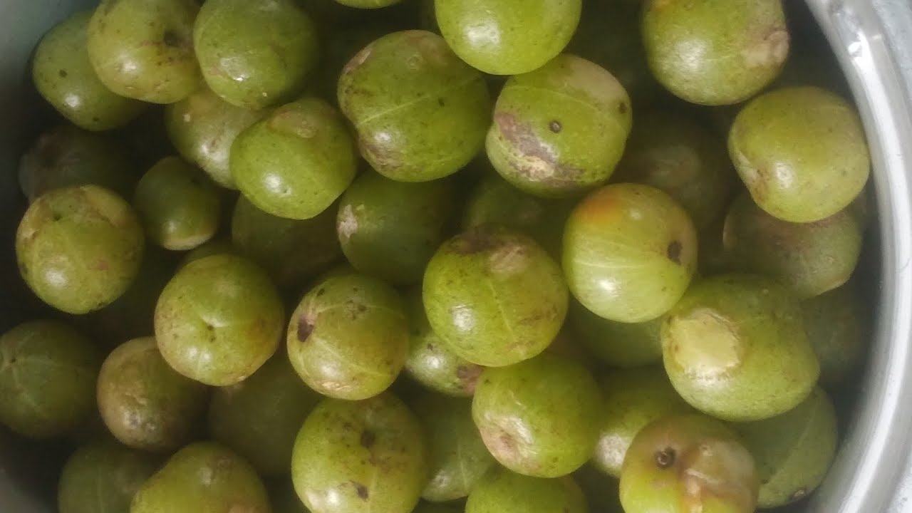 ఉసిరి ఆవకాయ నిల్వ పచ్చడి