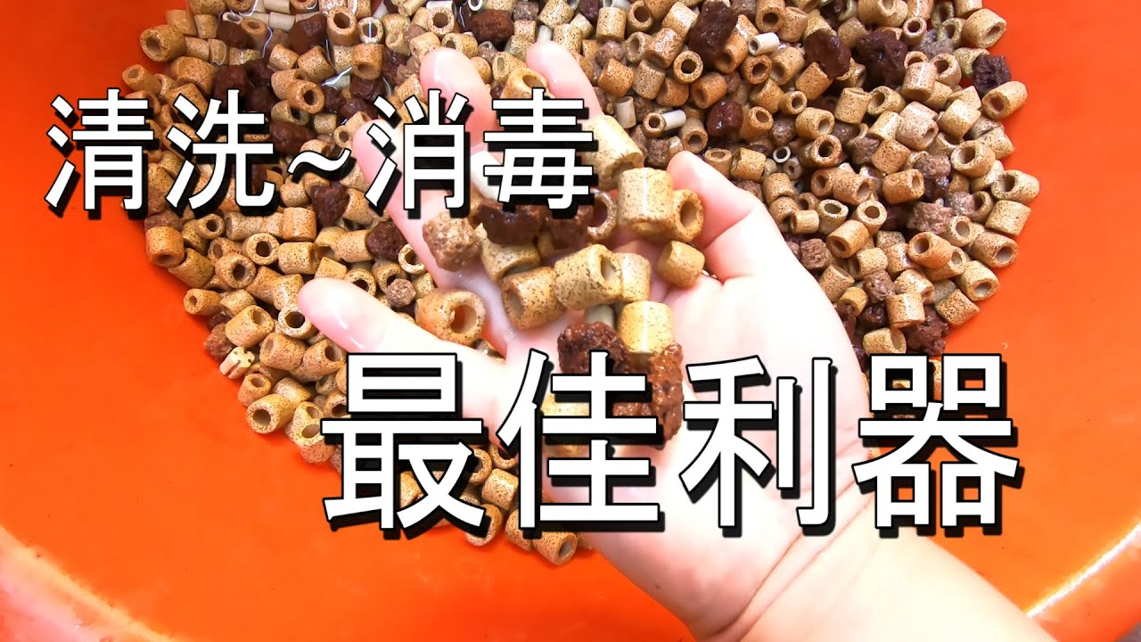 #水草設備資訊篇11~號稱無環境汙染疑慮~又可以徹底殺光藻類芽孢的第四級消毒利器