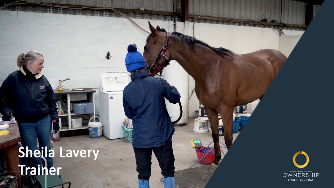 Sheila Lavery, Trainer