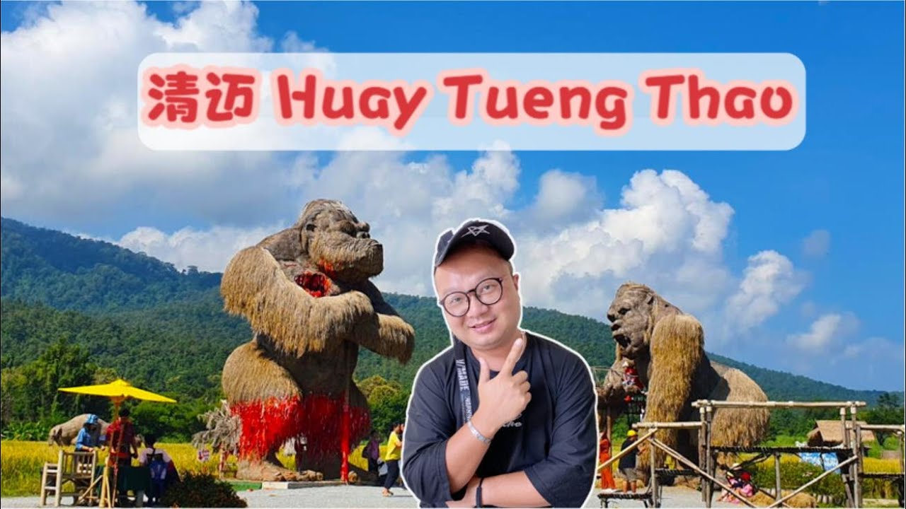 清迈鲜为人知的绝佳好去处-Huay Tueng Thao | Huay Tung Tao Chiang Mai | ห้วยตึงเฒ่าเชียงใหม่