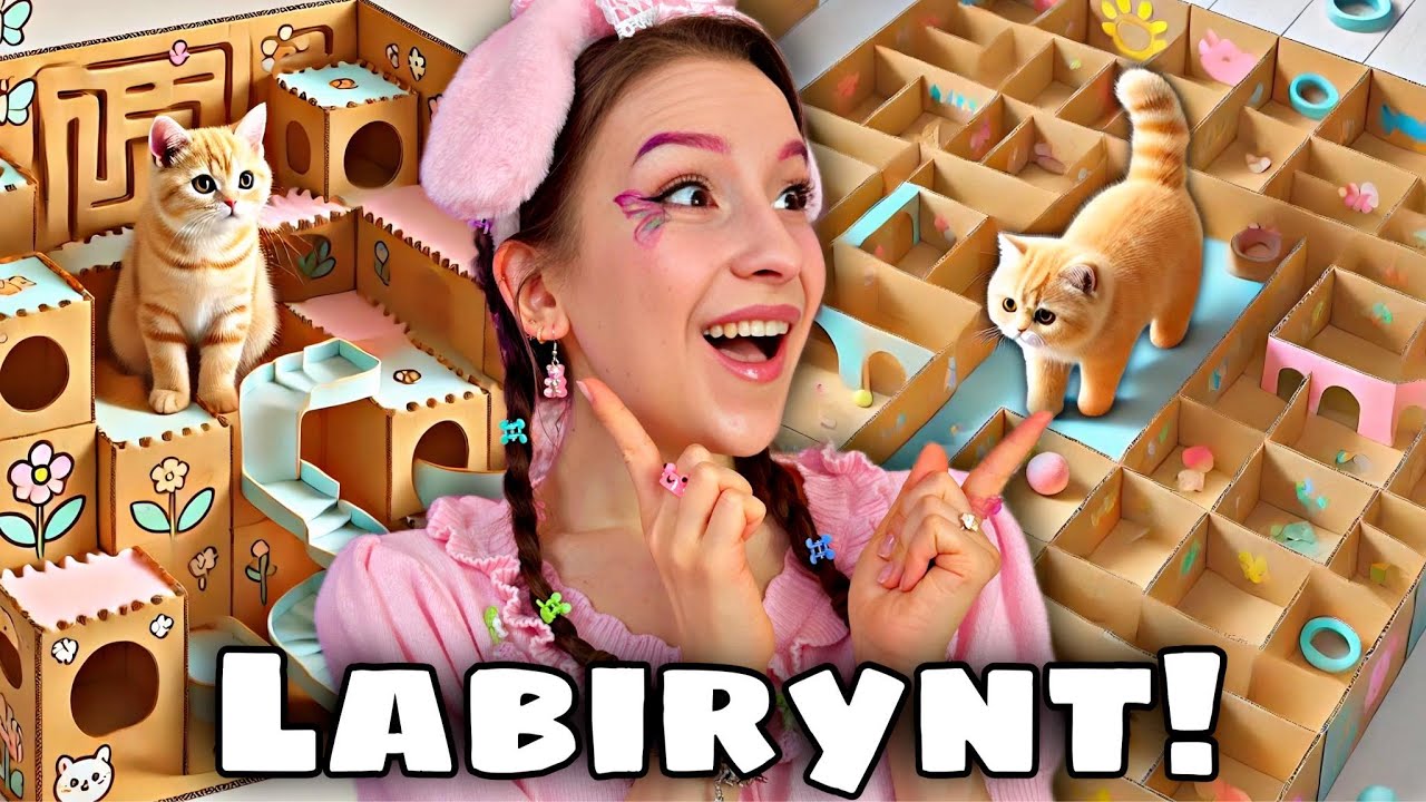 ZROBIŁAM LABIRYNT DLA KOTKA!🤩