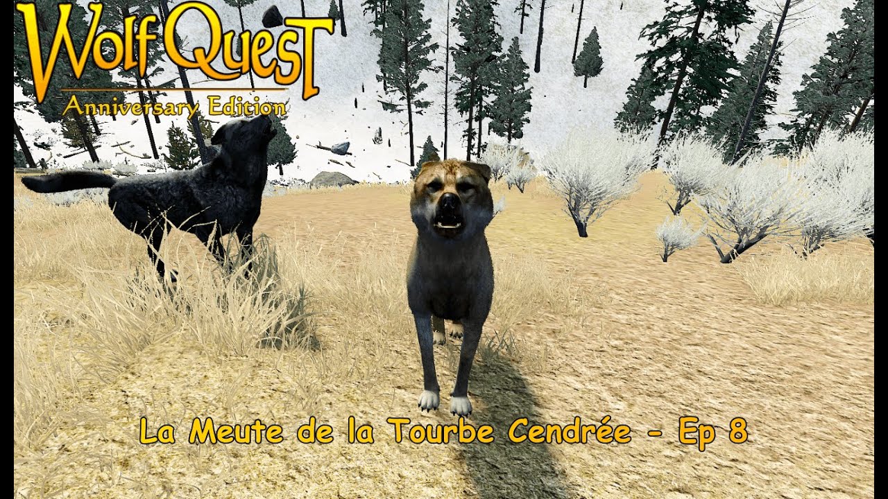 Chapitre 1 : Cendre de Lin #8 | Wolfquest Anniversary Edition