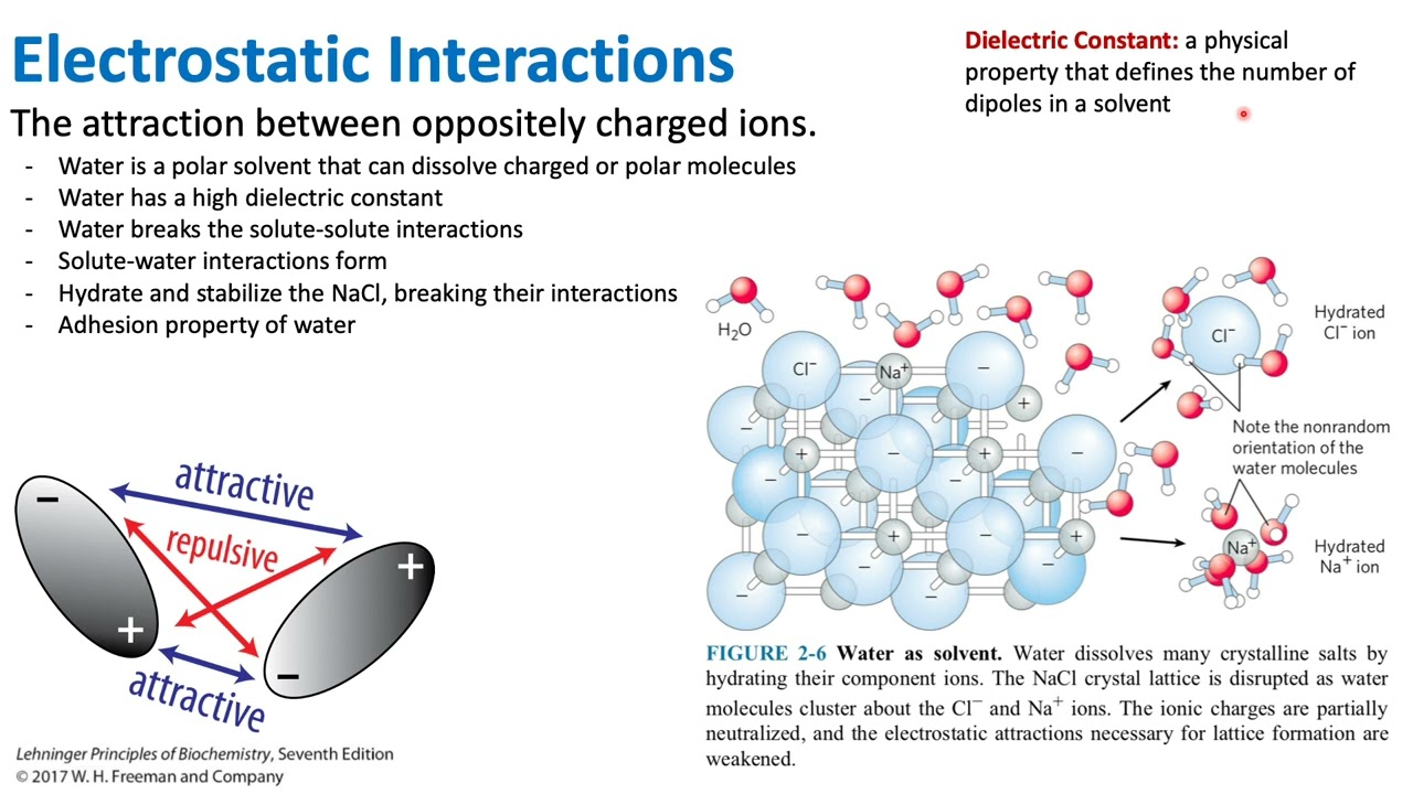 Electrostatic Interactions | Chemistry