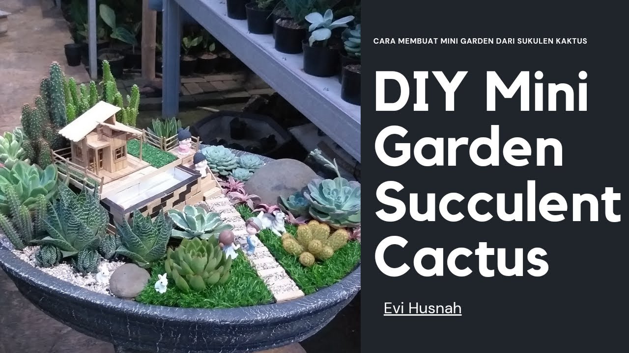 DIY Mini garden succulent cactus dengan tema KOLAM IKAN||Mini garden stik es krim