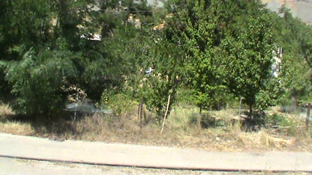 doğu ekspresi erzincan güllübağ tren istasyonu.MPG
