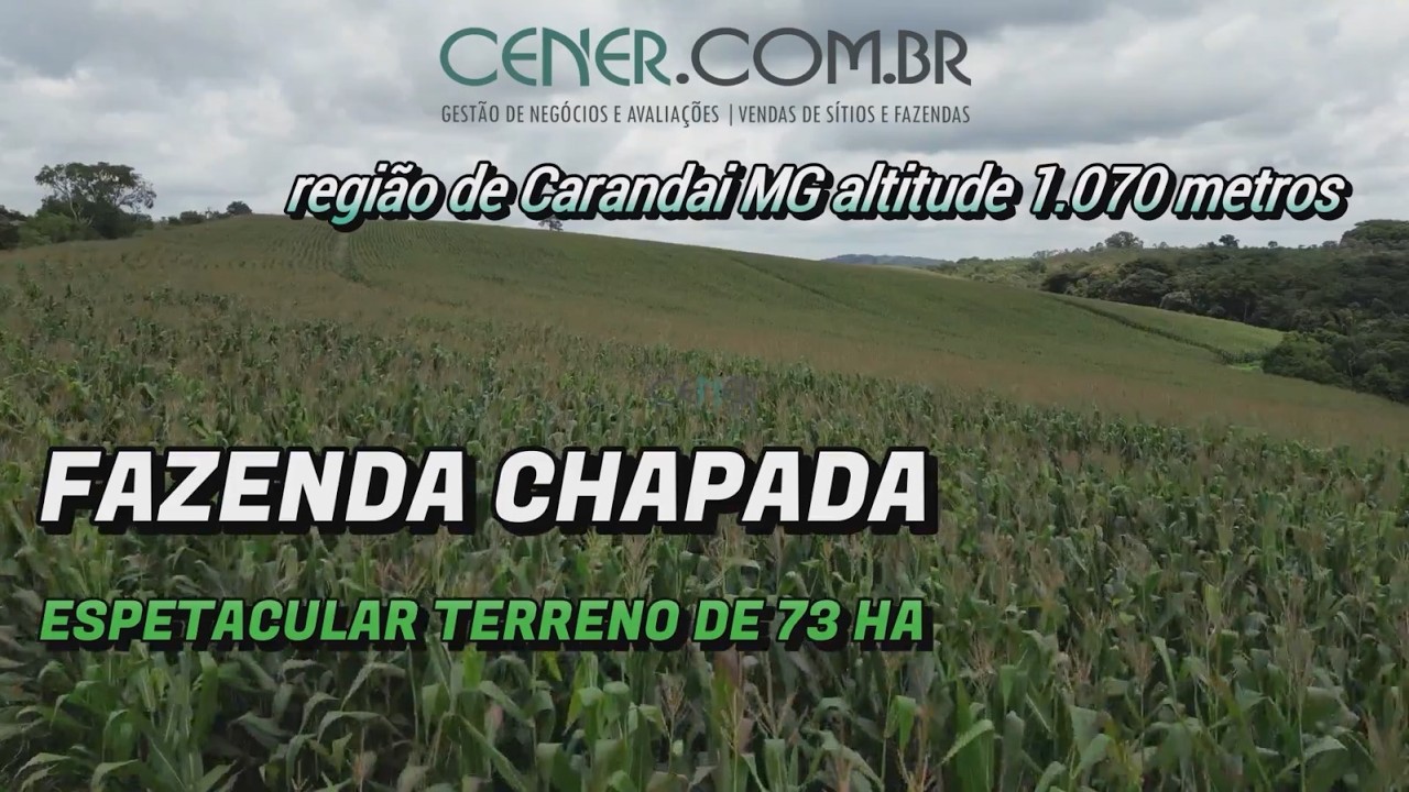 Cod 2990 Espetacular terreno de 73 ha em lavouras na região de Carandai MG por 2 300 mil
