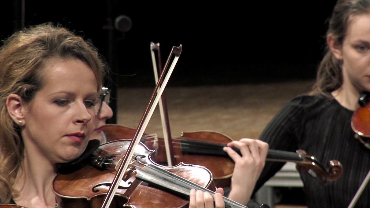 Ludwig van Beethoven, Eroica, mov. II - Peter Tiboris conducting, Pan-European Philharmonia