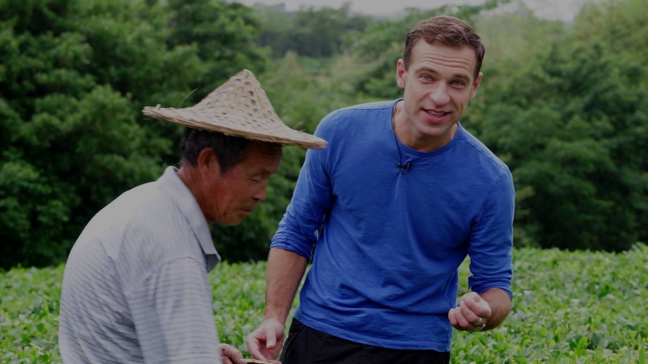 Tea Bay Global - Tea Stories - The Journey of Tea