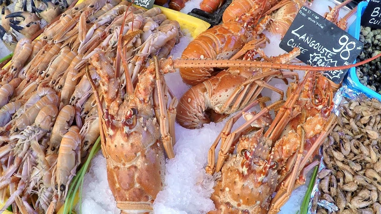 Nice, France. Biggest Fresh Fish Market on Christmas Days