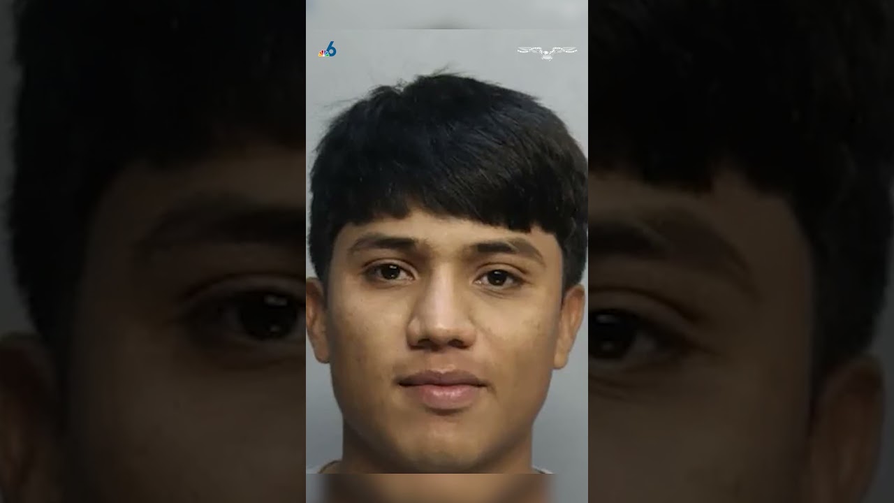 Crimes from illegal immigrants are entirely preventable #shorts