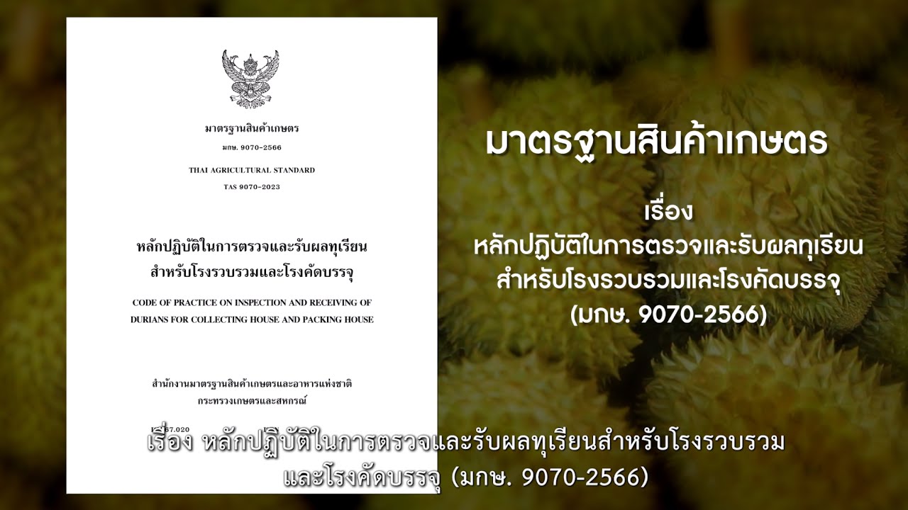 วีดิทัศน์การสาธิตวิธีการชักตัวอย่างเพื่อตรวจวิเคราะห์น้ำหนักเนื้อแห้ง ตาม มกษ. 9070-2566
