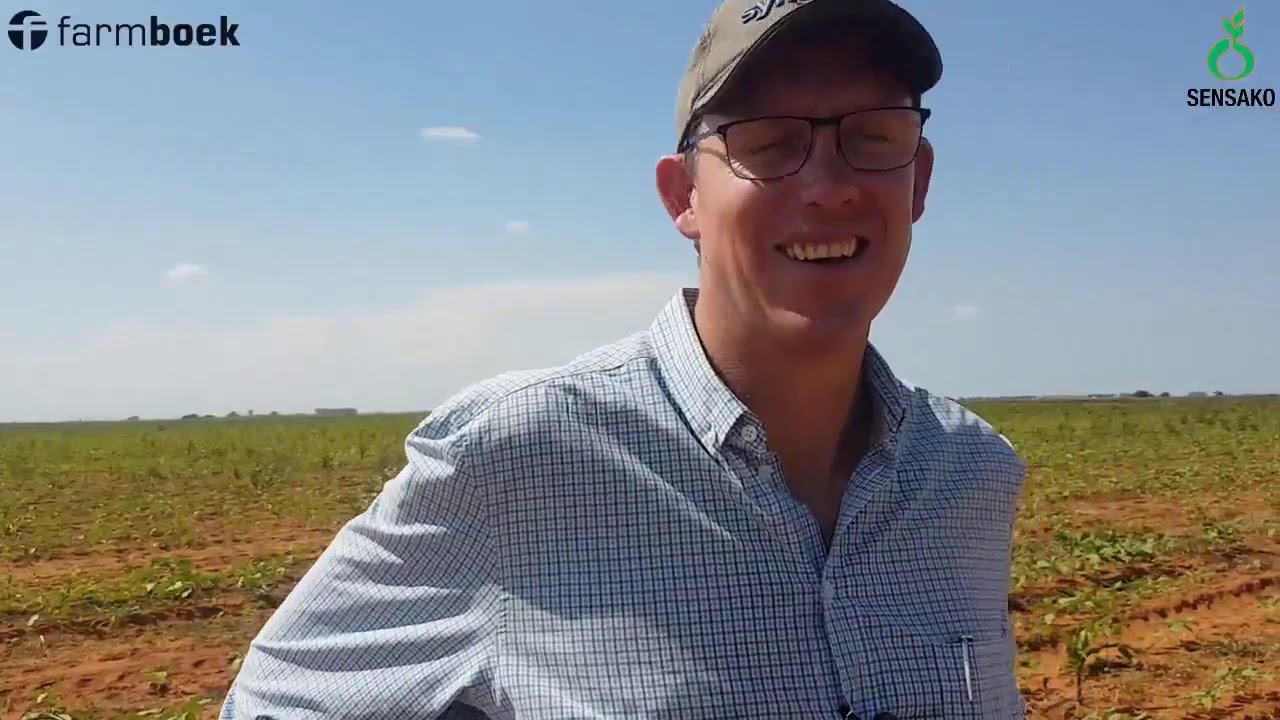 Sunflower Series - Fertilizers - Syngenta & Sensako