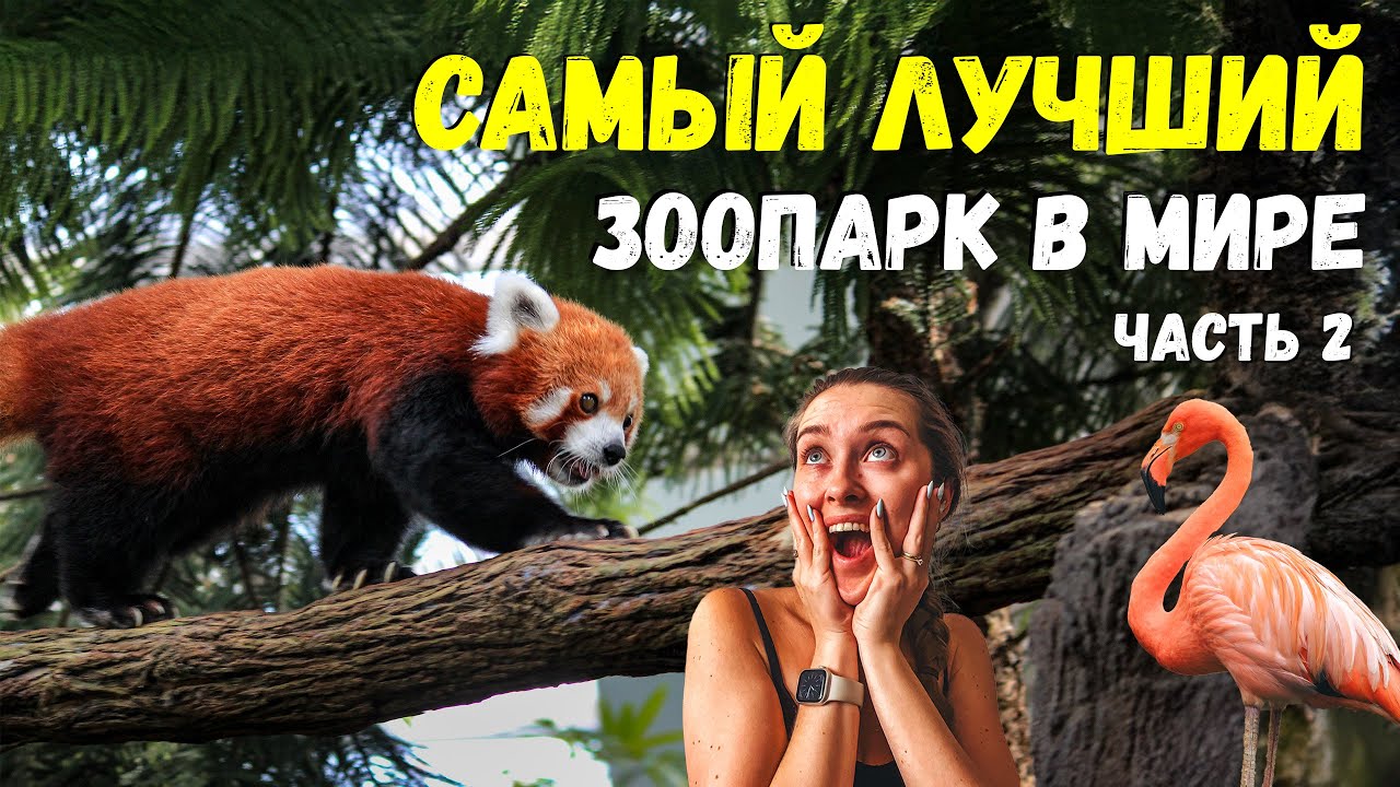 ЗООПАРК СИНГАПУРА | Зоны 2-3 из 5: Bird Paradise и River Wonders