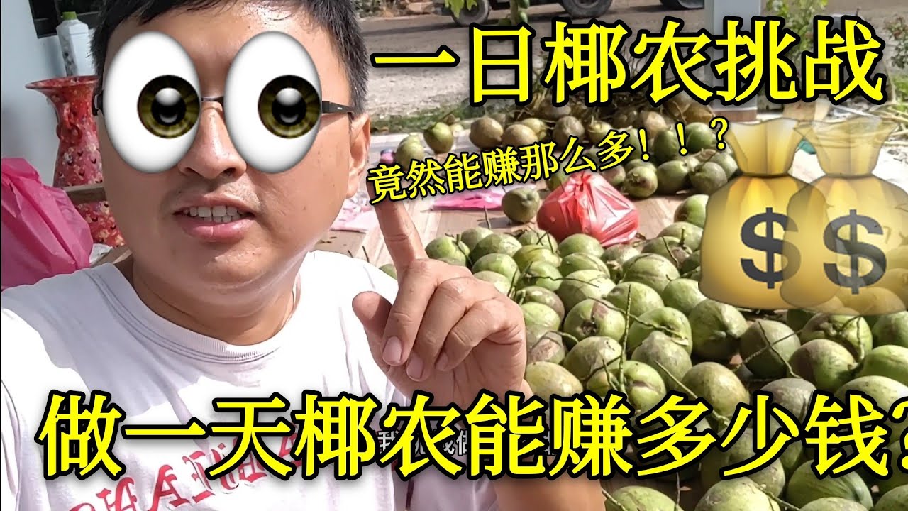 马来西亚农村生活系列 挑战 一日椰农 卖椰子一天能赚多少钱？