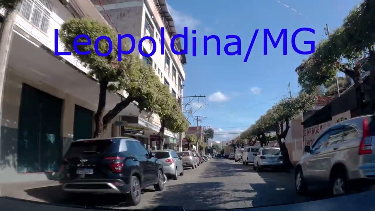 Leopoldina/MG.