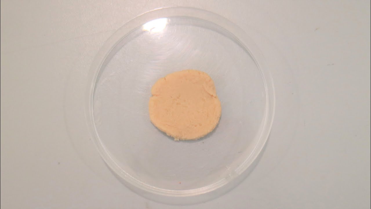Polymerisation - Science@Home