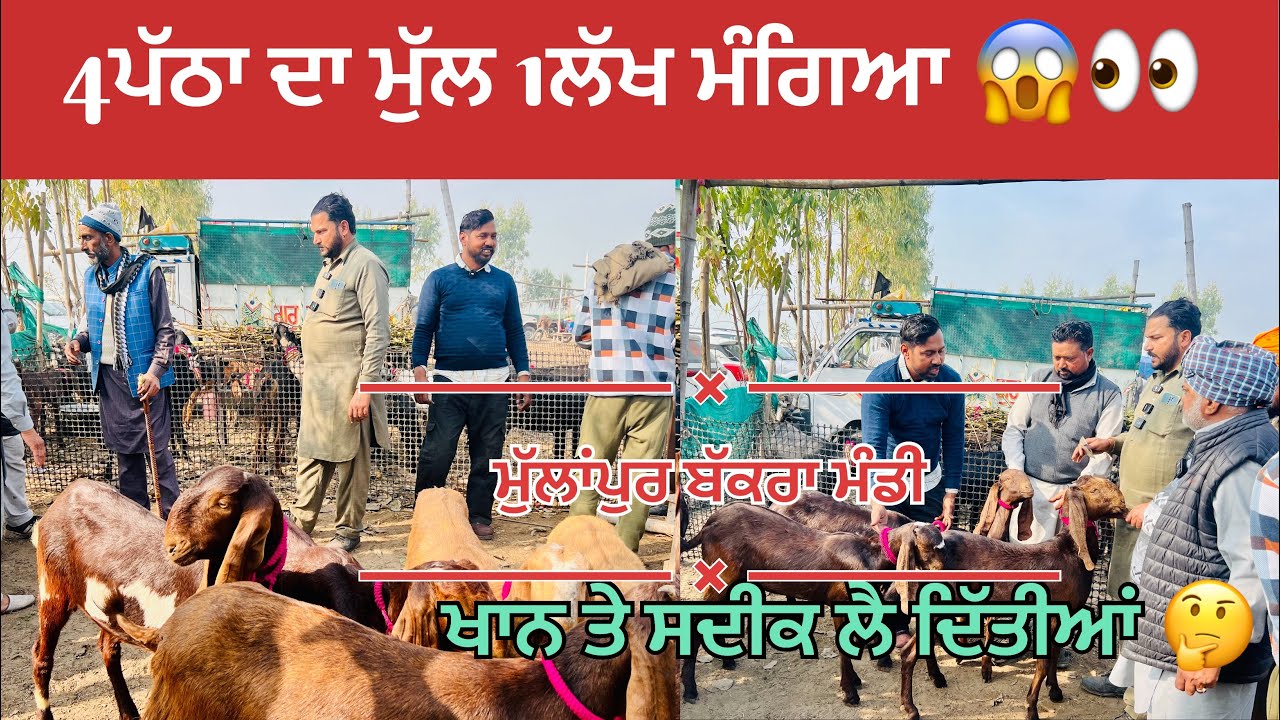 4ਪੱਠਾ ਦਾ ਮੁੱਲ 1ਲੱਖ ਕਰਿਆ ਸਦੀਕ ਤੇ ਖਾਨ ਨੇ ਪੇਮੀ ਨੂੰ ਲੈ ਦਿੱਤੀਆਂ 🤔#