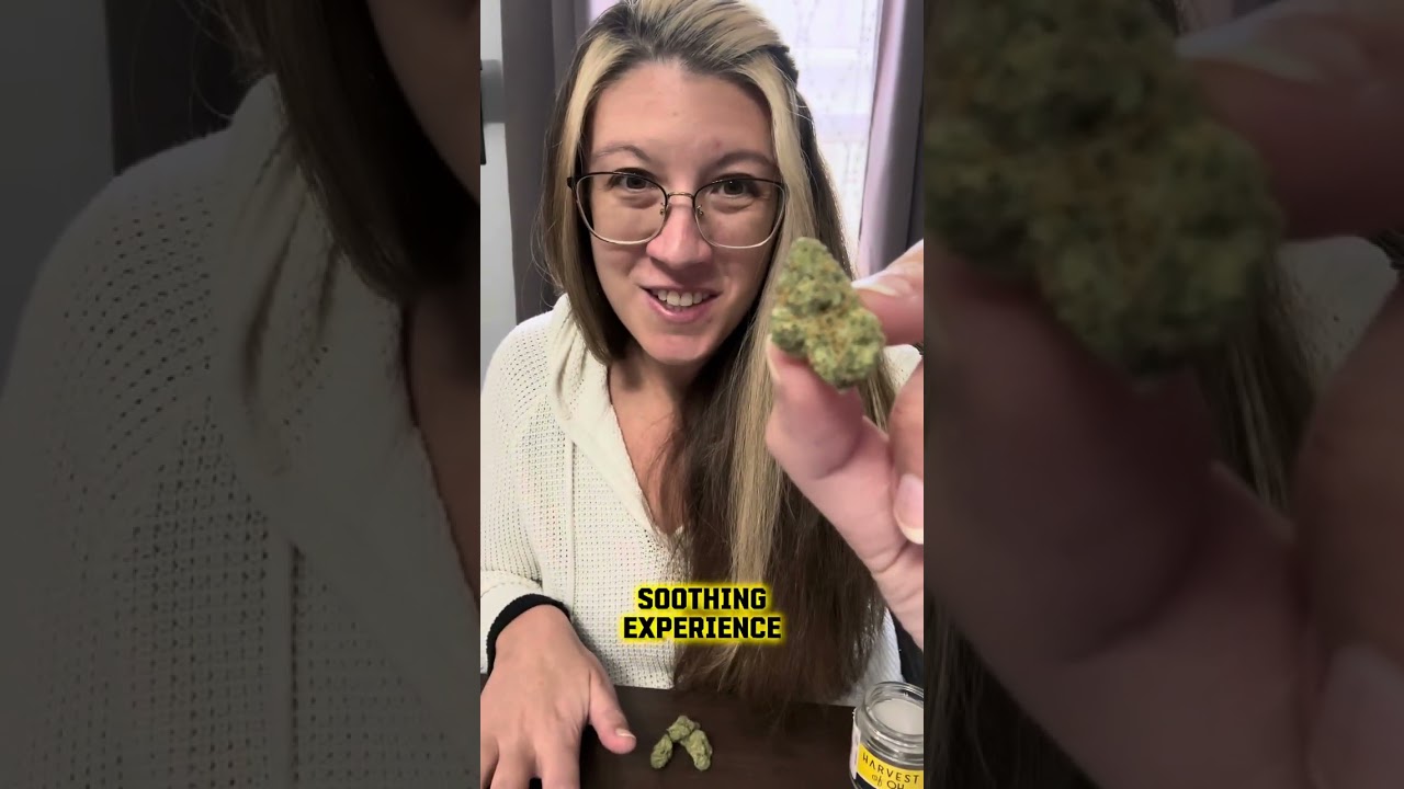 Harvest of Ohio - Phunyunz - Unbiased strain review
