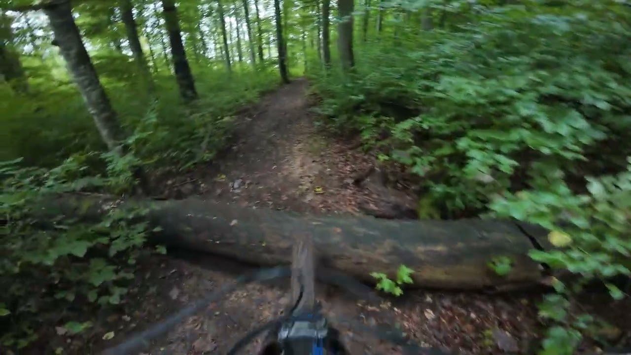 Hometrails 28.09.2025
