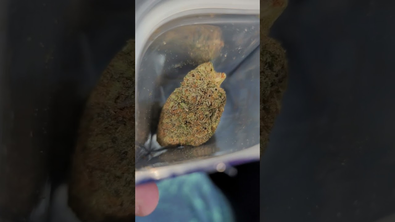 DOJA ☆ CANDY FUMEZ ✅️💯💯💯✅️🔥🔥🔥