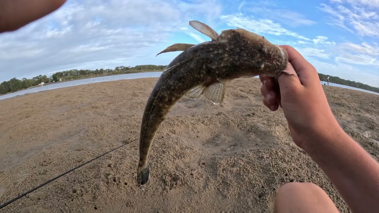 Fishing the flats in Evans Head