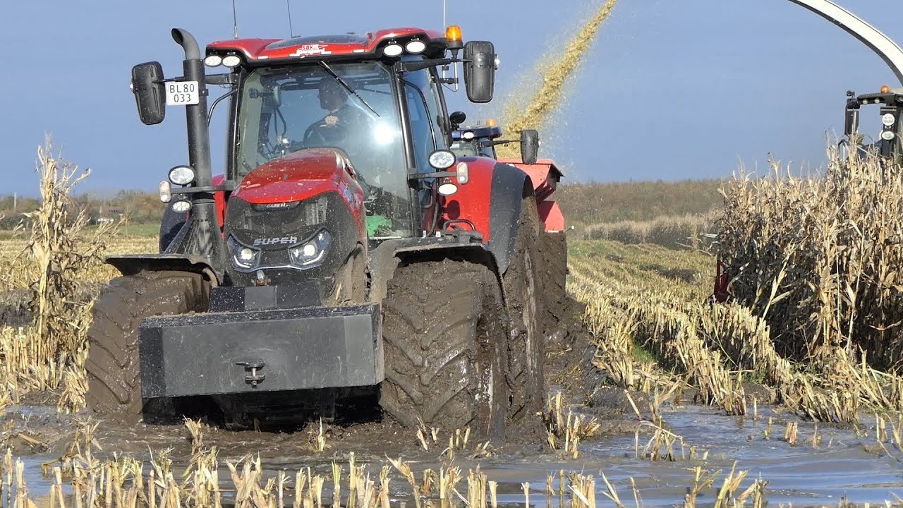 Case IH 300 Optum & New Holland T7.270 Going Through MUD & WATER During Corn Chopping | DK Agri