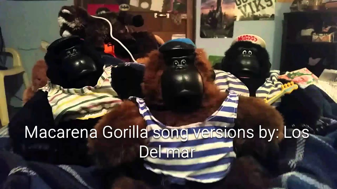 Macarena Gorilla differences