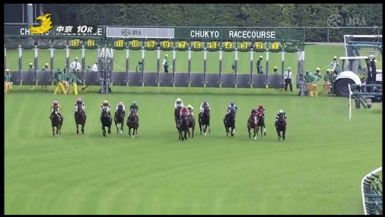 橘ステークス 2021 パトロールビデオ 【ダディーズビビッド】