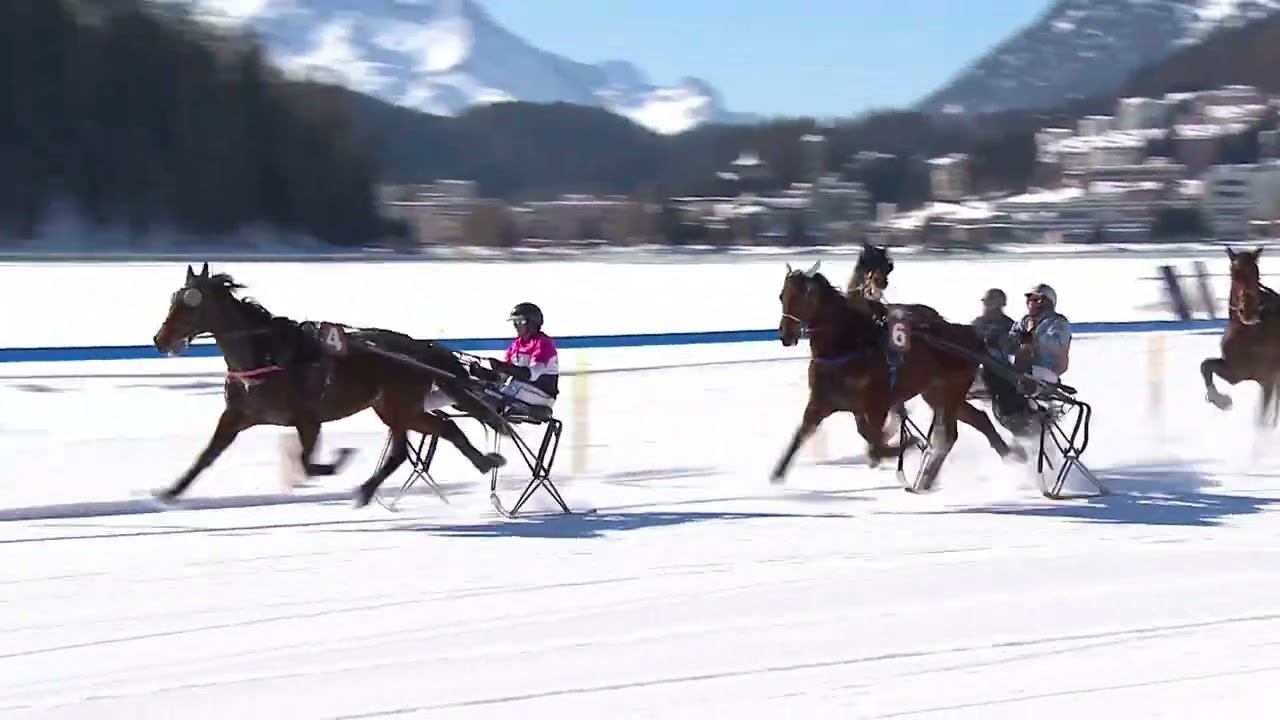 Race 1 Trabrennen 1700m, GP GAMMACATERING