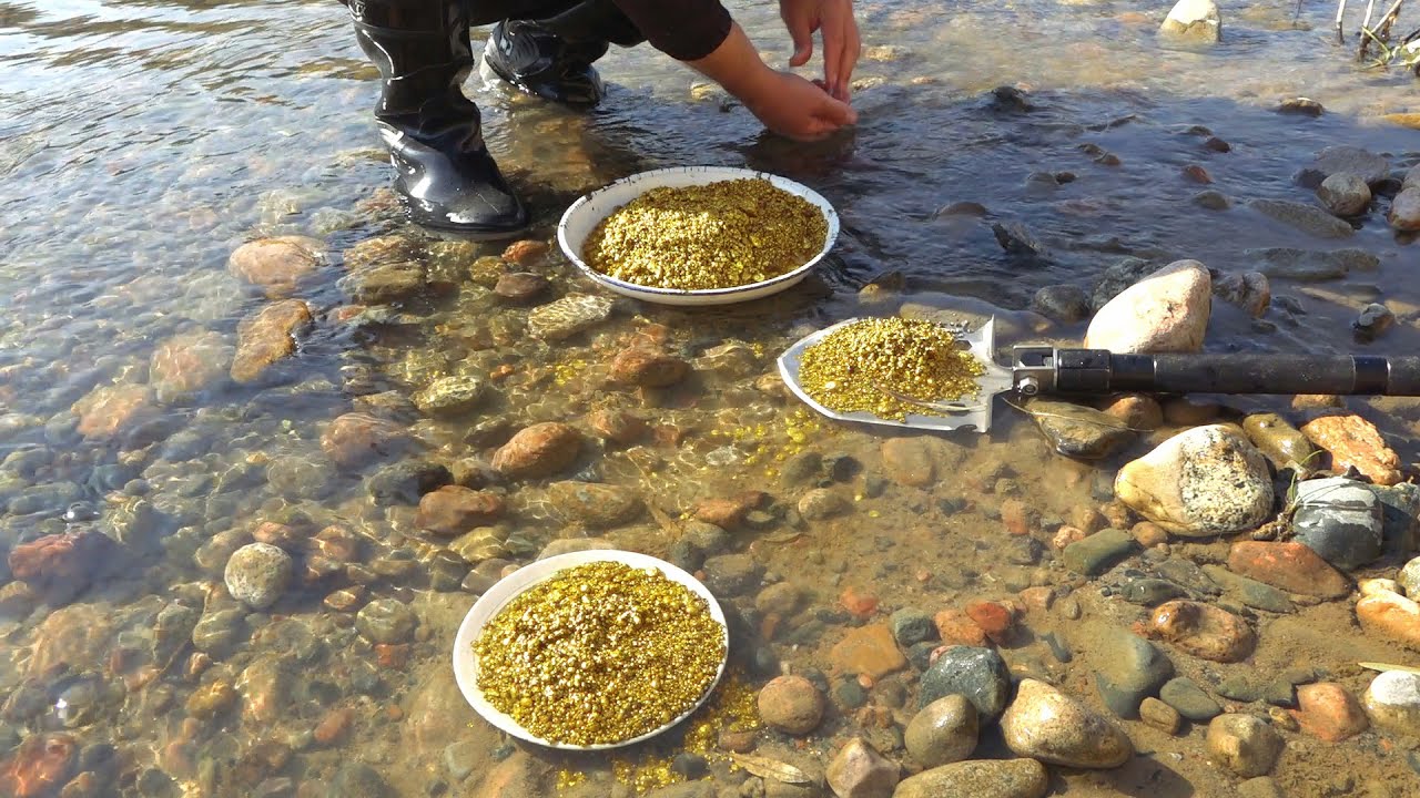Gold rush: All this gold is worth a lot of money!