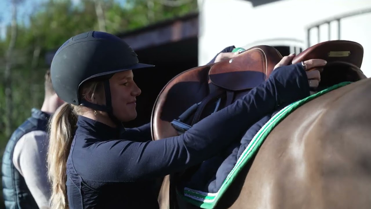 Apeiron | From Legacy to Horizon | Improving Equine Care